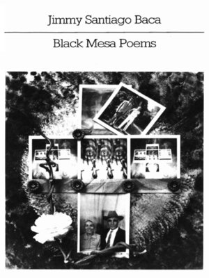 cover image of Black Mesa Poems